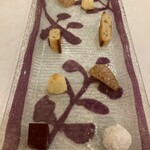 トレフミヤモト - 