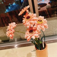 札幌 なだ万雅殿 - 