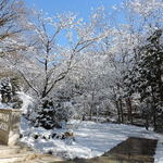 アルベルゴ・バンブー - 庭