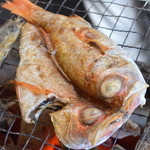 ひもの万宝商店 - 冬の王様、のどぐろ！すっきりとした上品な脂の美味さは干物になることで一段と際立っています！