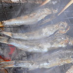 ひもの万宝商店 - 脂が乗りすぎて、じゅうじゅうと煙を上げるメヒカリ。最高に旨かったです(*´ω｀*)