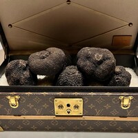 スガラボヴィー - 