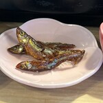 定食屋スシコウ - 小魚佃煮