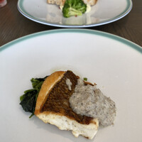 COLONIAL BEACH 横浜ハンマーヘッド - 