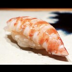 鮨 つぼみ - 車海老