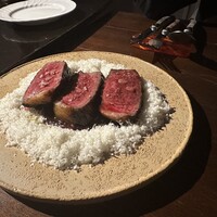 Potoro - 