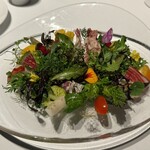 レフェルヴェソンス - 