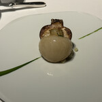 レフェルヴェソンス - 