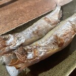 233657221 - 子持柳葉魚 本物のししゃも