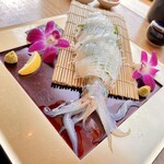 波平 - とろけるようなお刺身