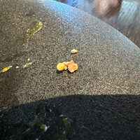 DINING & BAR TABLE 9 TOKYO - 