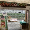 白浜いちご狩りセンター