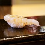 鮨 十兵衛 - 牡丹海老