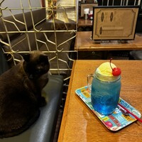 口コミ一覧 : セブンカフェ （VII CAFE） - 旭川/バー [食べログ]