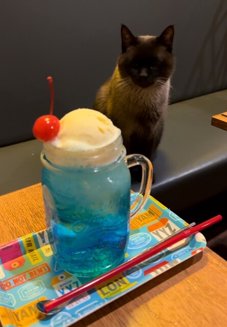 セブンカフェ （VII CAFE） - 旭川/バー | 食べログ