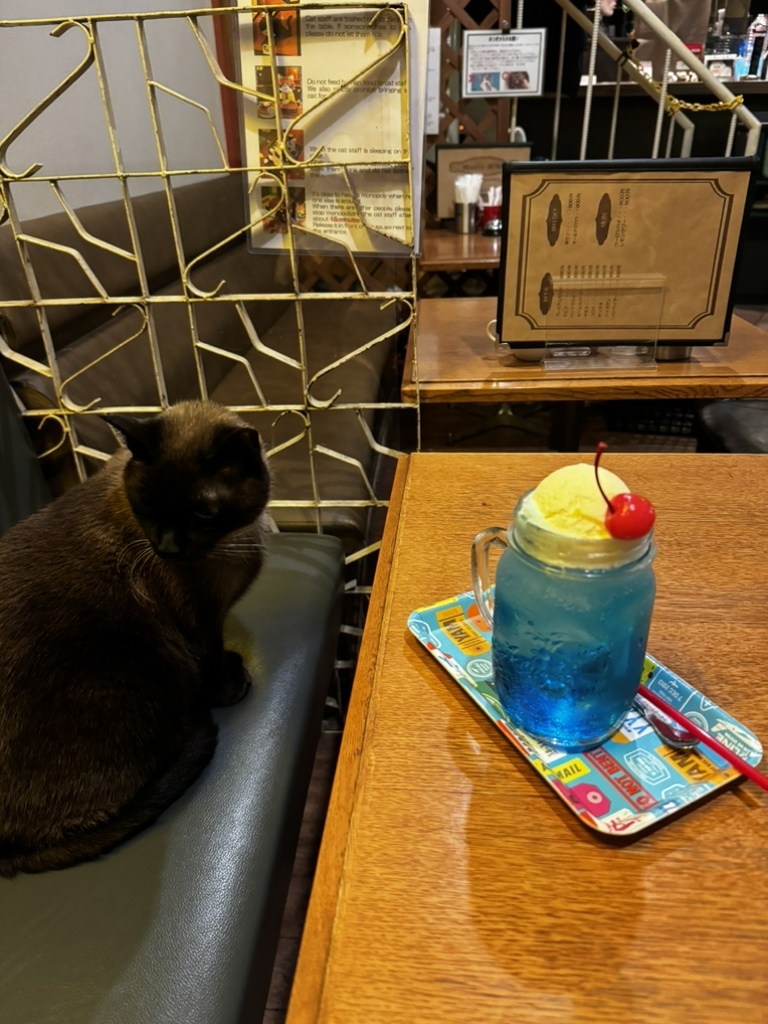 HARA ANNUAL VII カフェ 2024年8月 ハワイのカフェ・レストランの新店舗情報！ワイキキに