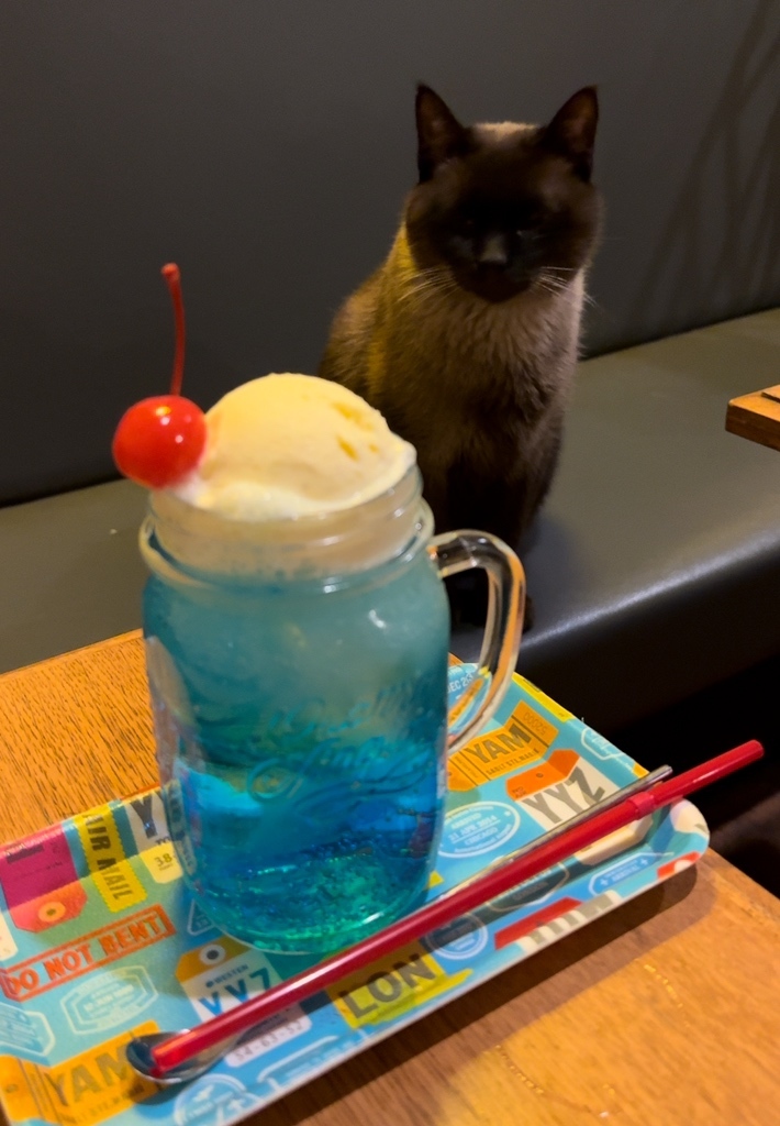HARA ANNUAL VII カフェ HARA ANNUAL VII カフェ CAFE CHALLENGER 88 靭公園店 （CAFÉ