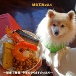 Doggu Rizo-To Wafu - 食べ辛いと思います。。