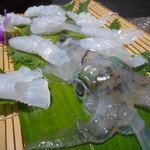 大政旅館 - 活きイカ