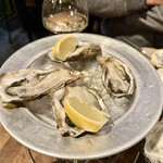 FAST OYSTERS - 