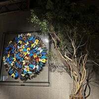 genso - 