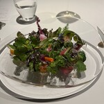 レフェルヴェソンス - 