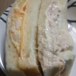 スキダマリンク_1