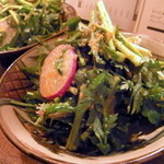 氏ノ木 - 【2013-12】仙台セリと春菊のサラダ