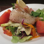 Gomaya - 真鯛のカルパッチョ