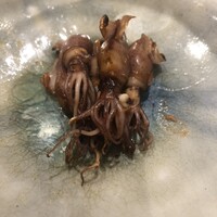 鮨 しゅんぺい - 