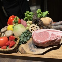 オッジ ダルマット 西麻布店 - 