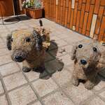 いろどり珈琲 - 