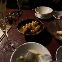 Potoro - 