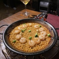 Potoro - 