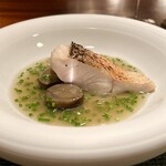 蒼 - 神経〆白甘鯛　本日の仕立て