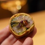 オルタンシア - 