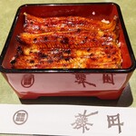 Unagi Fujita - 