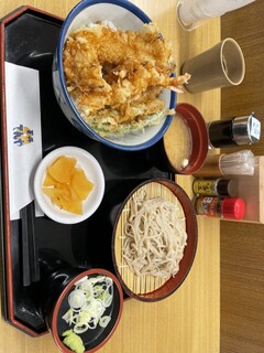 Tendon Tenya - 