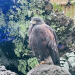 小岩やぶそば - 