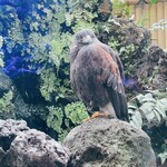 小岩やぶそば - 