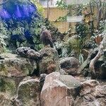 小岩やぶそば - 