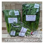 わくわく広場 - シゲちゃんはどうやってこういう人を見つけんだろうな