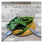 わくわく広場 - 茎なんかスイーツでも食べてるみたいよ。葉のほうがむしろ食べづらいくらい。