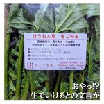 わくわく広場 - 生の文字から一気に投稿のアイデアが固まりました