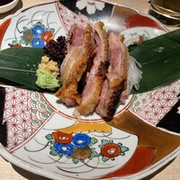 始祖鳥 - 