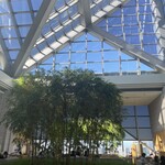 ピーク・ラウンジ - 天井が高いーー♩