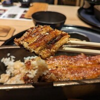 うなぎ四代目菊川 ヒルトンプラザウエスト大阪店 - うなぎ一本重(2024.01)