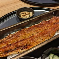 うなぎ四代目菊川 ヒルトンプラザウエスト大阪店 - うなぎ一本重(2024.01)