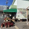 四季菜 - 
