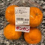 四季菜 - 